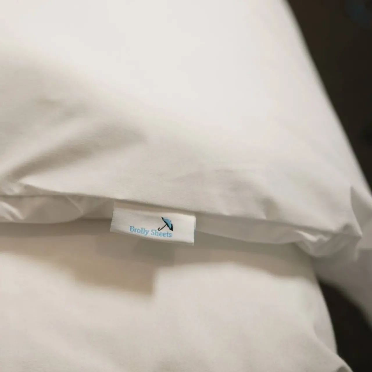 Brolly Sheets Waterproof Duvet Protector with Clips Best