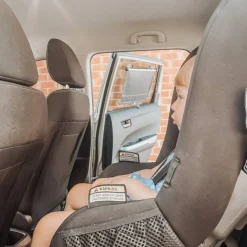 Dream Baby Extra Wide Car Window Shade Best