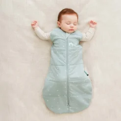 Ergopouch 2.5 tog Cocoon Swaddle Bag Discount