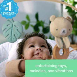 Ingenuity Cozy Spot Soothing Baby Bouncer Clearance