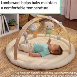 Ingenuity Every Season Plush Lambswool Activity Gym Discount