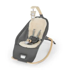 Ingenuity Every Season Rocking Seat Wesley Sale