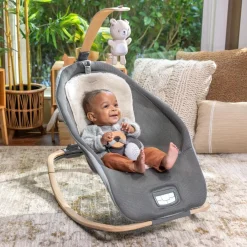 Ingenuity Every Season Rocking Seat Wesley Sale