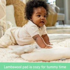 Ingenuity Every Season Swing n Go Portable Swing Wesley Clearance