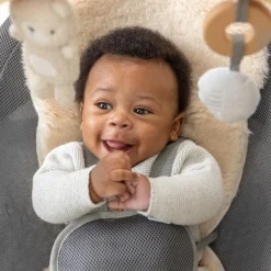 Ingenuity Every Season Swing n Go Portable Swing Wesley Clearance