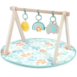 Ingenuity ity by Sun Valley Wooden Toy Arch & Play Mat New