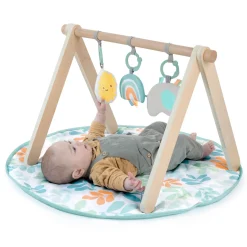 Ingenuity ity by Sun Valley Wooden Toy Arch & Play Mat New