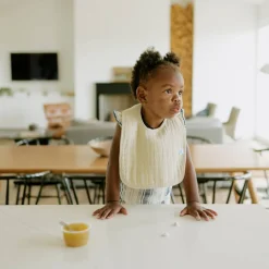 Little Unicorn - Muslin Classic Bib 3 pack Fashion