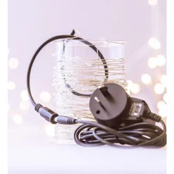 Stellar Haus 10M Seed Lights (Plug-in) Copper Hot