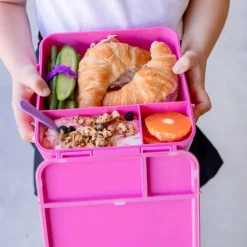 MontiiCo Bento PLUS Online