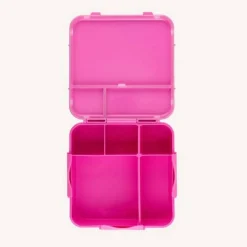 MontiiCo Bento PLUS Online