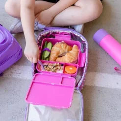 MontiiCo Bento PLUS Online