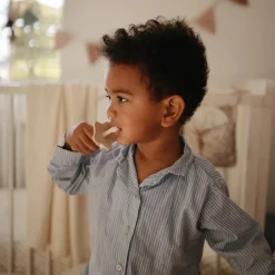 Mushie Silicone Star Training Toothbrush Sale