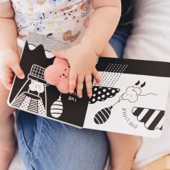 The Kiss Co - Ten Little Kisses For You Board Book Clearance