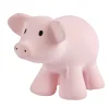 Tikiri Toys Tikiri Natural Rubber Rattle & Bath Toy - Pig Discount