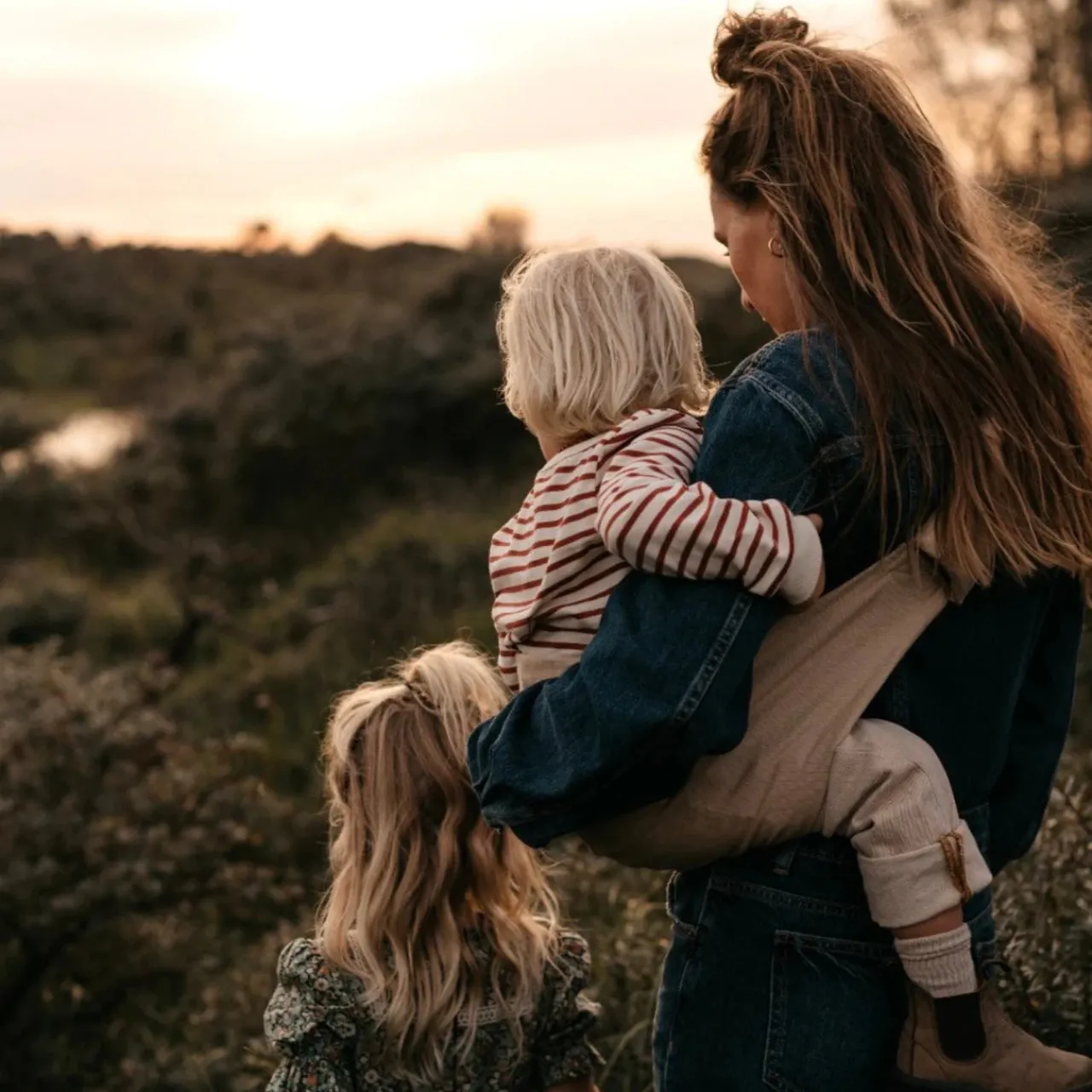 Wildride Toddler Carrier Outlet