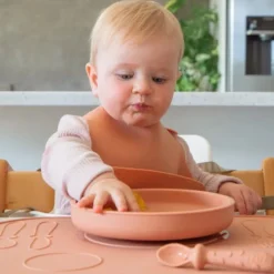 Zazi Clever Plate with Lid Best