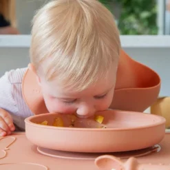 Zazi Clever Plate with Lid Best